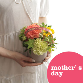 【母の日限定】カーネーションアレンジメント(暖色系)